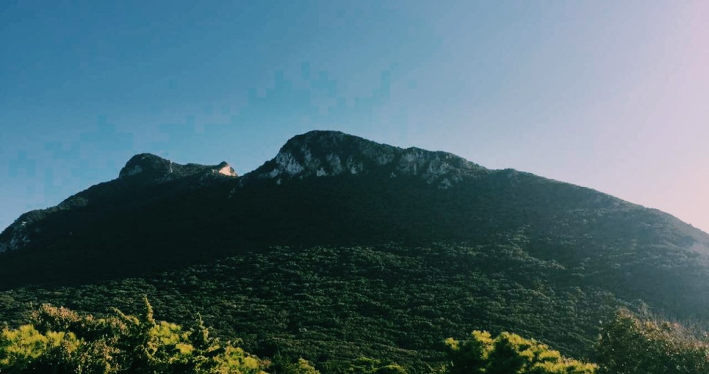 Travel Diaries No.&nbsp;16